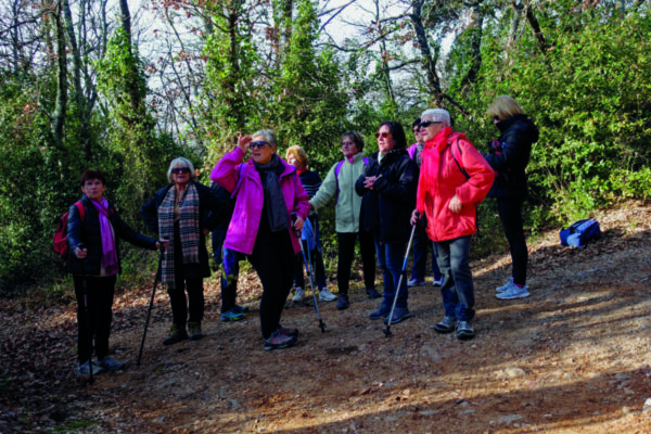 Lire la suite à propos de l’article Adultes : Activités sportives à partir du 9 juin