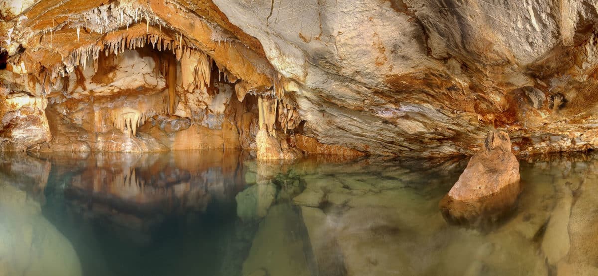 Lire la suite à propos de l’article Sortie culturelle – Grotte Cosquer