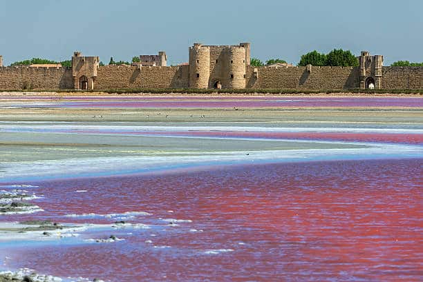 Lire la suite à propos de l’article Sortie culturelle Aigues-Mortes