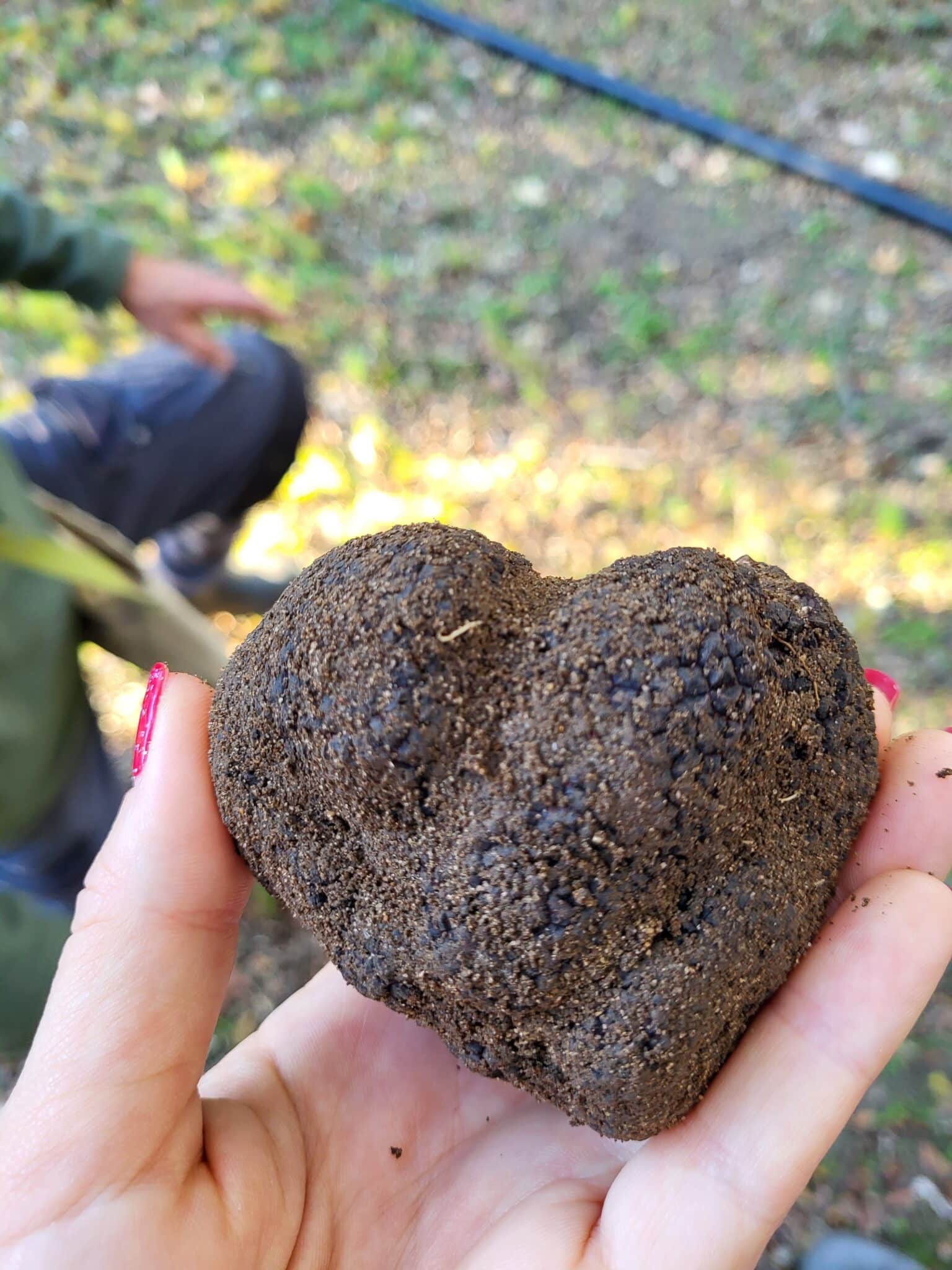 Lire la suite à propos de l’article Sortie culturelle à La Truffe d’Uzès