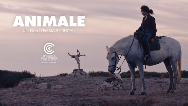 Lire la suite à propos de l’article Sortie Jeunes : Cinéma