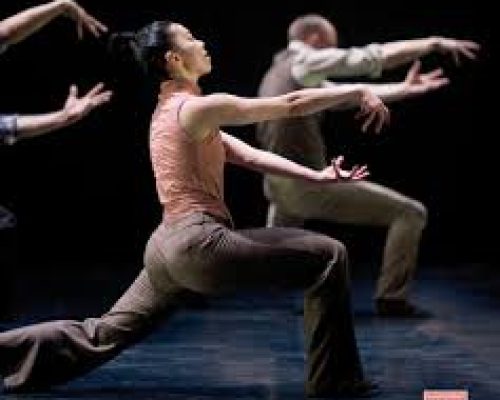 DANSE