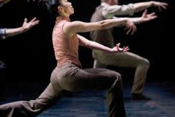 DANSE
