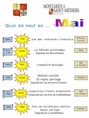 Microsoft Word – Mai 2025-1
