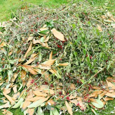 dechets-verts Déchets verts